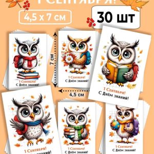 Мини-открытки "1 сентября. С Днём знаний!" Совы, набор 30 шт.