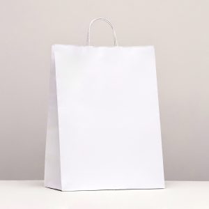 Пакет бумажный 15*21*8 см. с крученой ручкой , белый