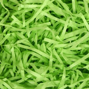 Наполнитель тишью 50 гр., Салатовый