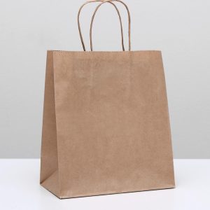 Пакет бумажный 22*12*28 см. с крученой ручкой крафт