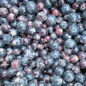 Черная смородина 1 класс, замороженная, 500 г.