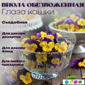 Виола обезвоженная плоская "Глаза кошки", 4 шт.