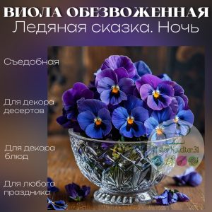 Виола обезвоженная плоская "Ледяная сказка, ночь", 4 шт.
