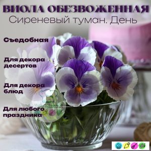 Виола обезвоженная объемная "Сиреневый туман, день", 3 шт.