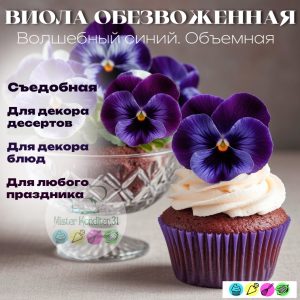 Виола обезвоженная объемная "Волшебный синий", 3 шт.