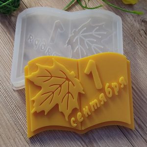 Молд силиконовый "Книга 1 сентября" арт. 1130