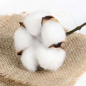 Хлопок искусственный d-5см, 8 см.