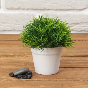 Бонсай "Травка зеленая", 12 см.