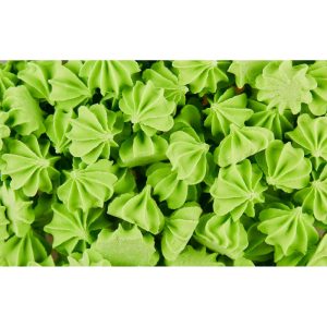 Сахарные фигурки мини-безе зеленые, 50 г.