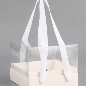 Коробка под бенто-торт, с прозрачной крышкой, белый, 16×16×12.5 см